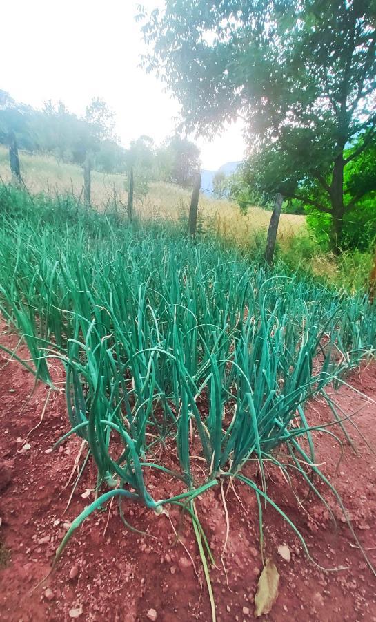 Privatni Smjestaj "Mratinje" Affittacamere Plužine Esterno foto