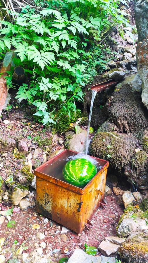 Privatni Smjestaj "Mratinje" Affittacamere Plužine Esterno foto