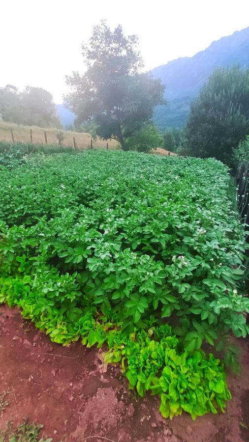 Privatni Smjestaj "Mratinje" Affittacamere Plužine Esterno foto